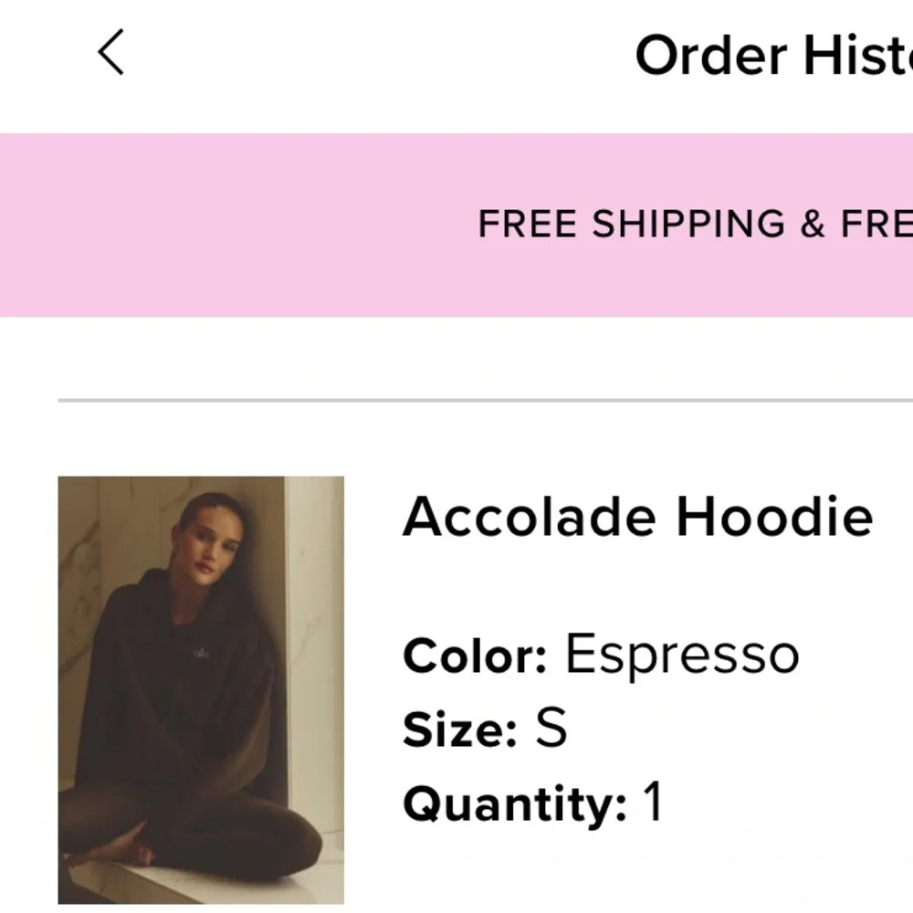 ALO Accolade Hoodie Espresso - Picture 3 of 5